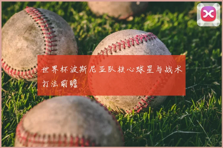 世界杯波斯尼亚队核心球星与战术打法前瞻