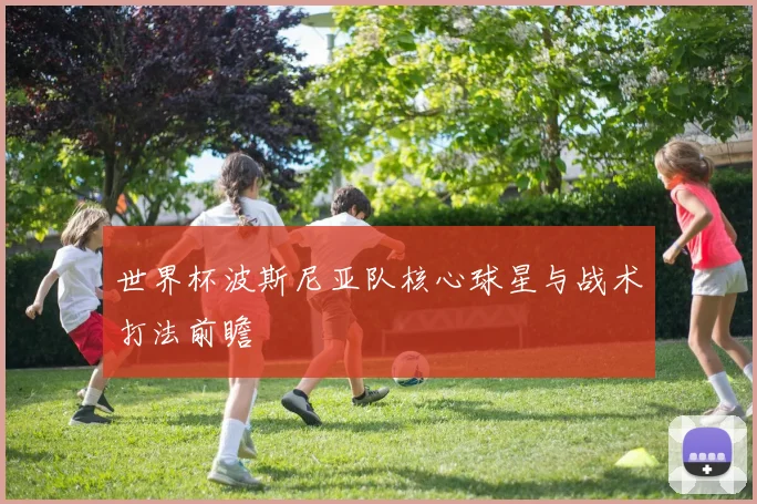 世界杯波斯尼亚队核心球星与战术打法前瞻